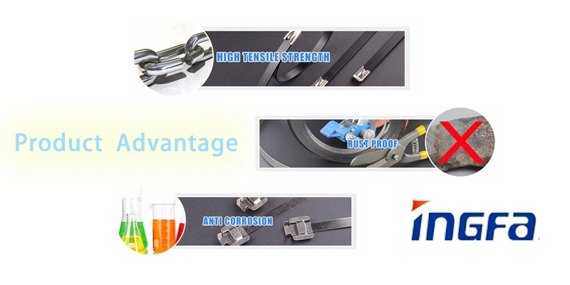 SS316 Stainless Steel Strapping Band and Ear-Lokt Clips for All Purpose